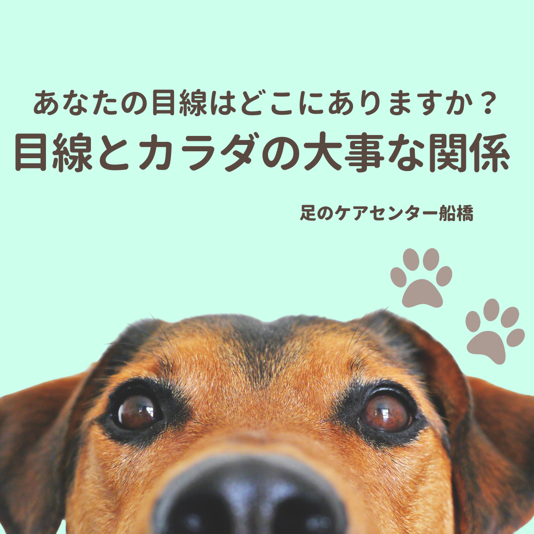 1163202404010717280.png