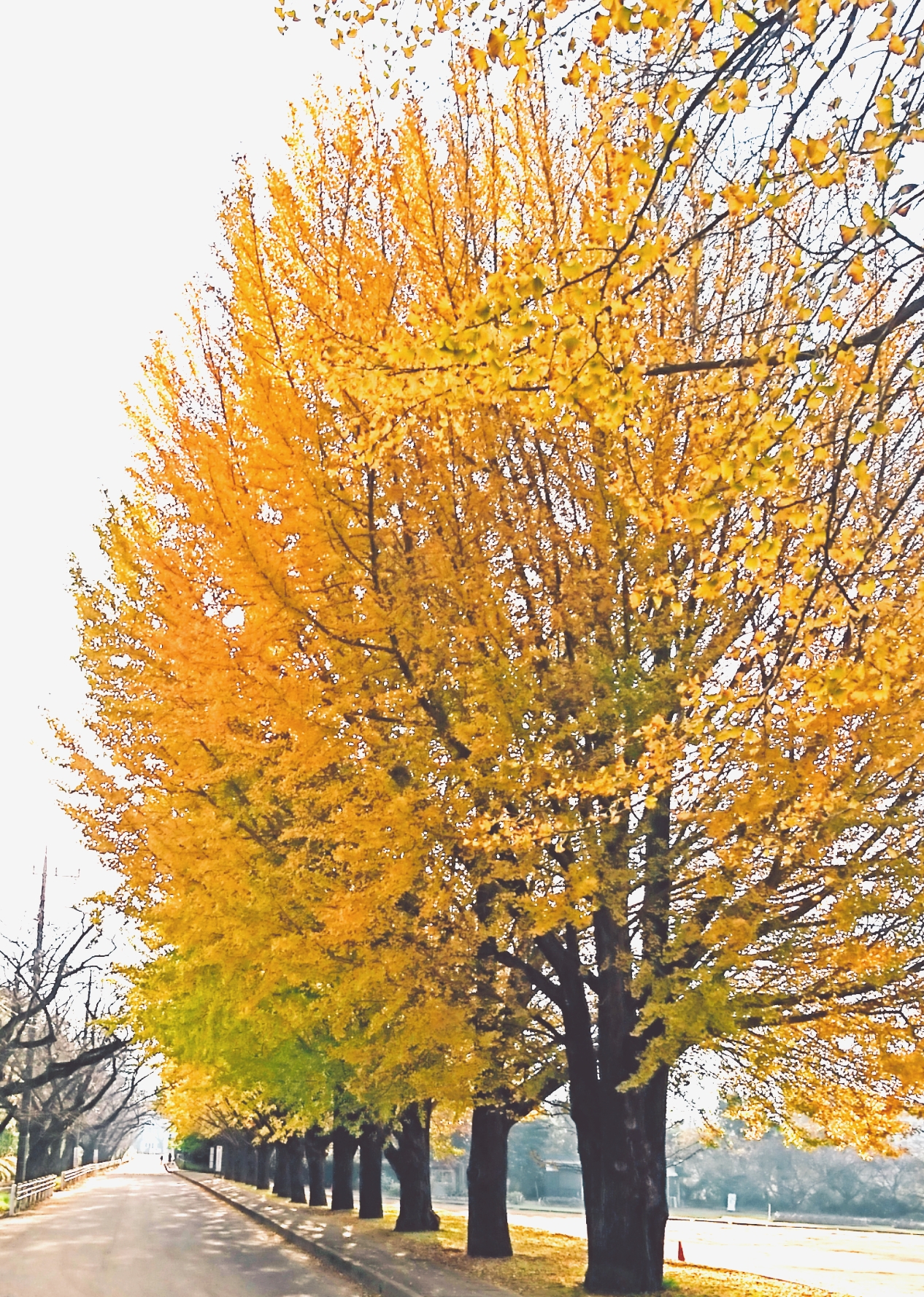 2201811221900220.jpg