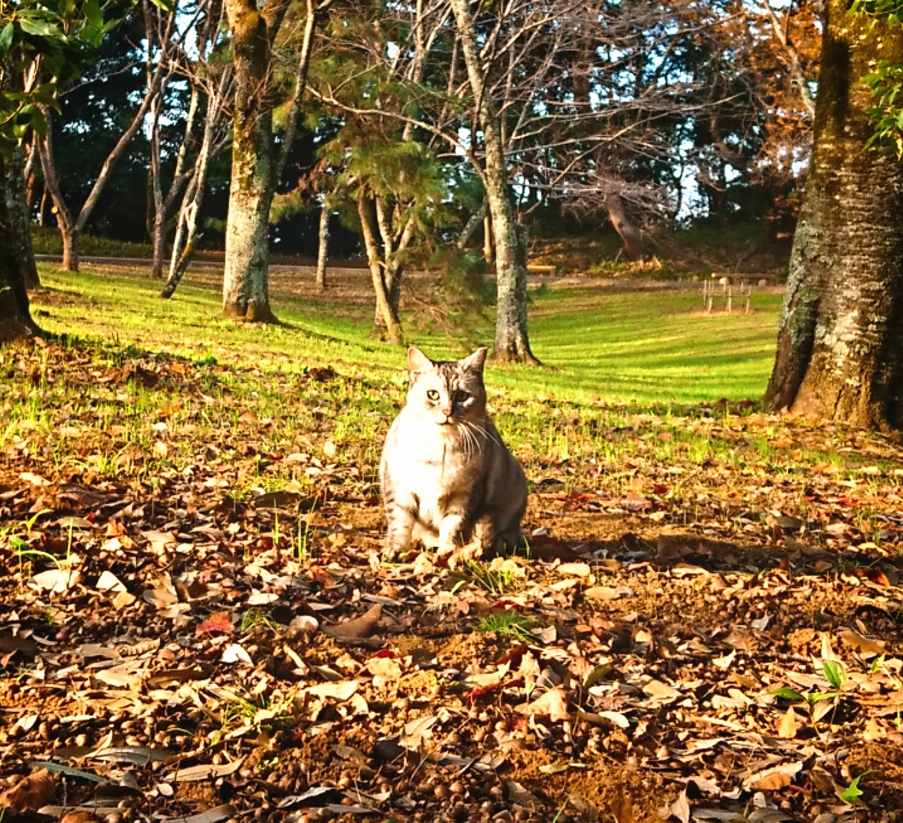 2201811221903460.jpg