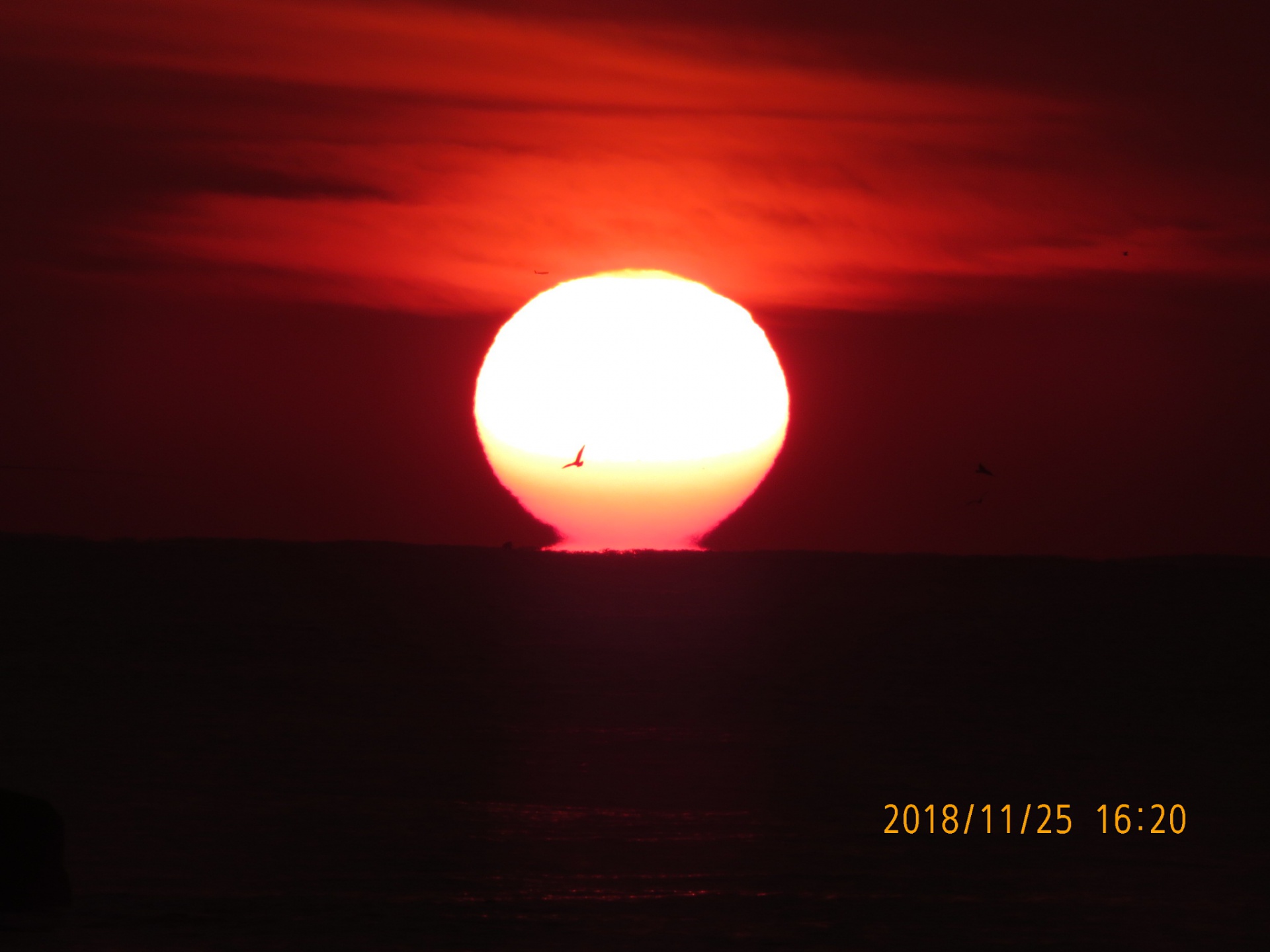 2201811301005090.jpg