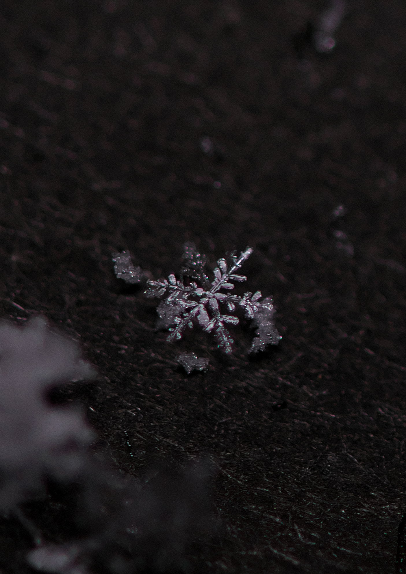 2201902221130120.jpg