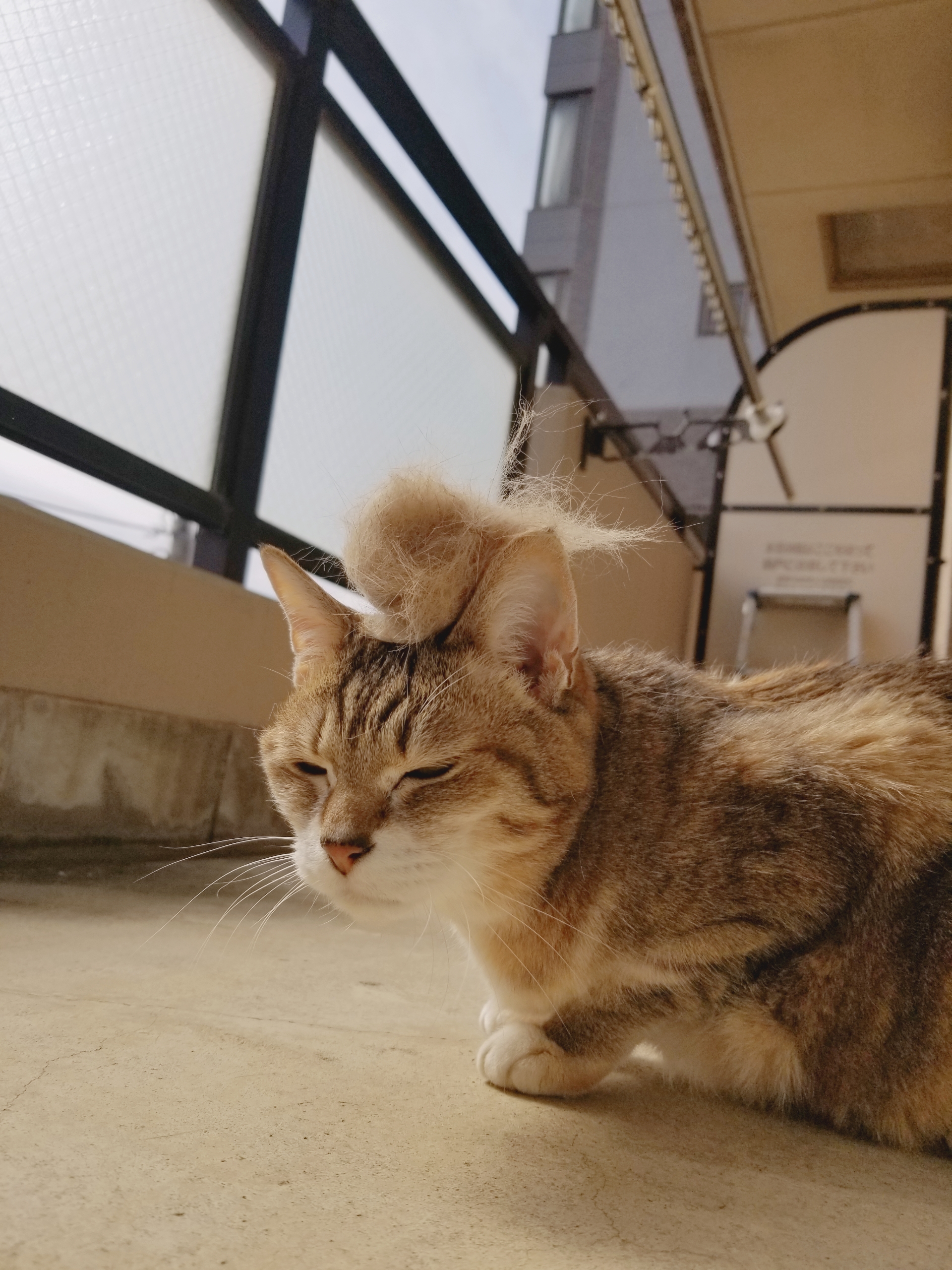 2201903061806340.jpg