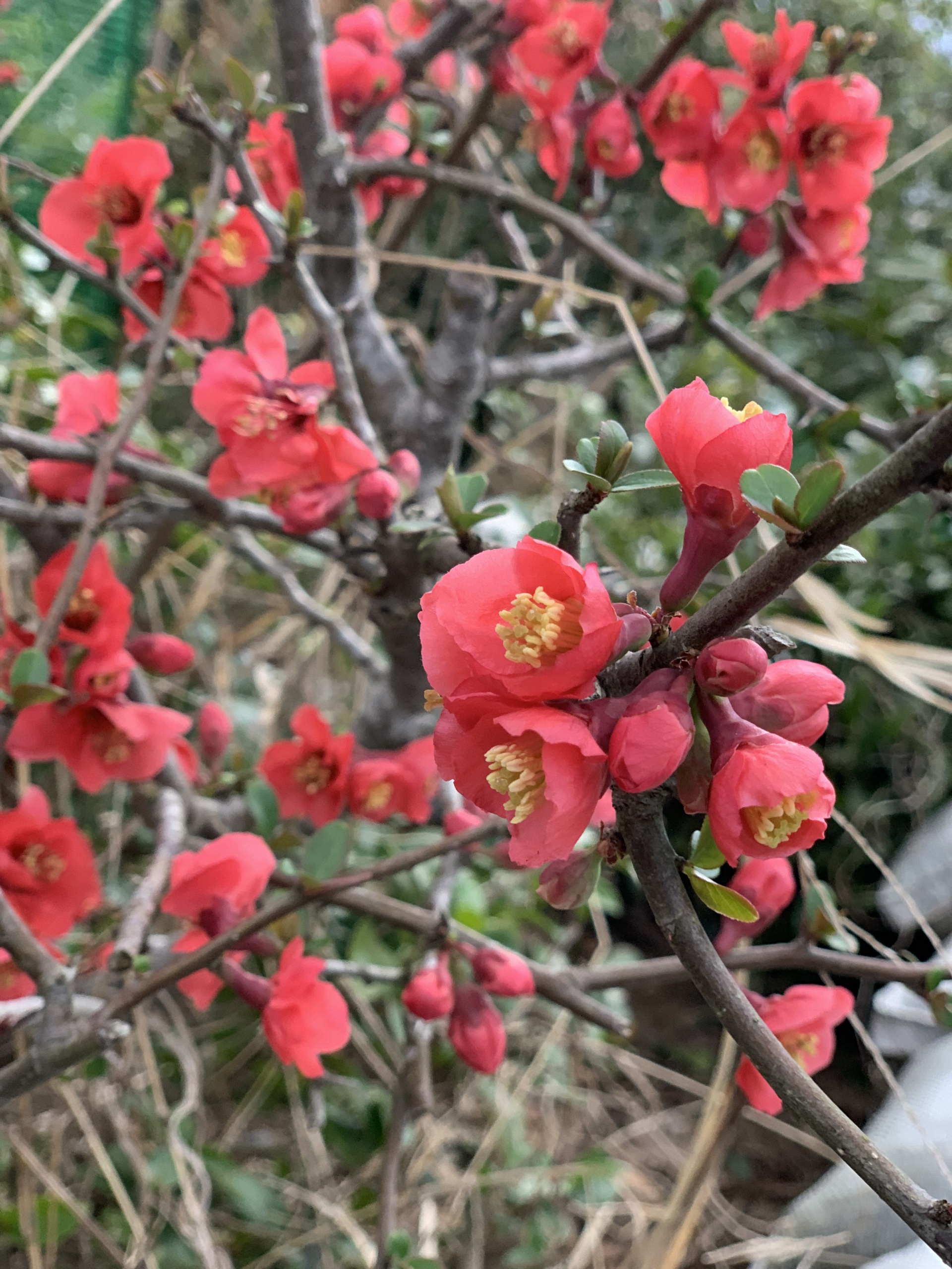 2201903221802240.jpg