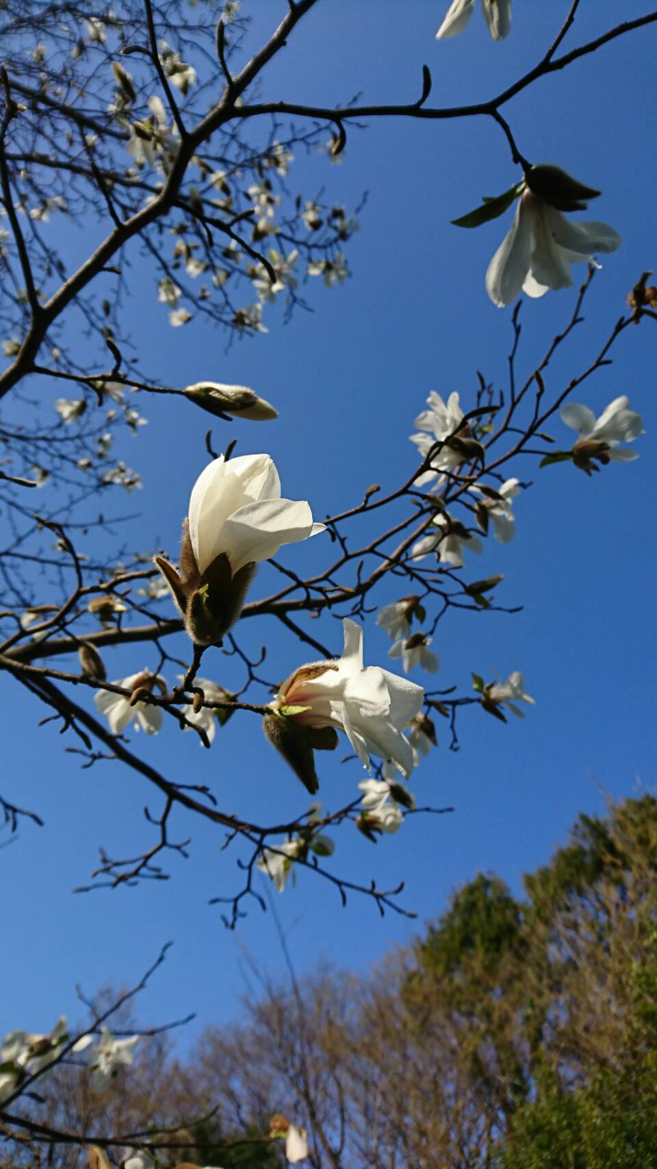 2201903261042330.jpg