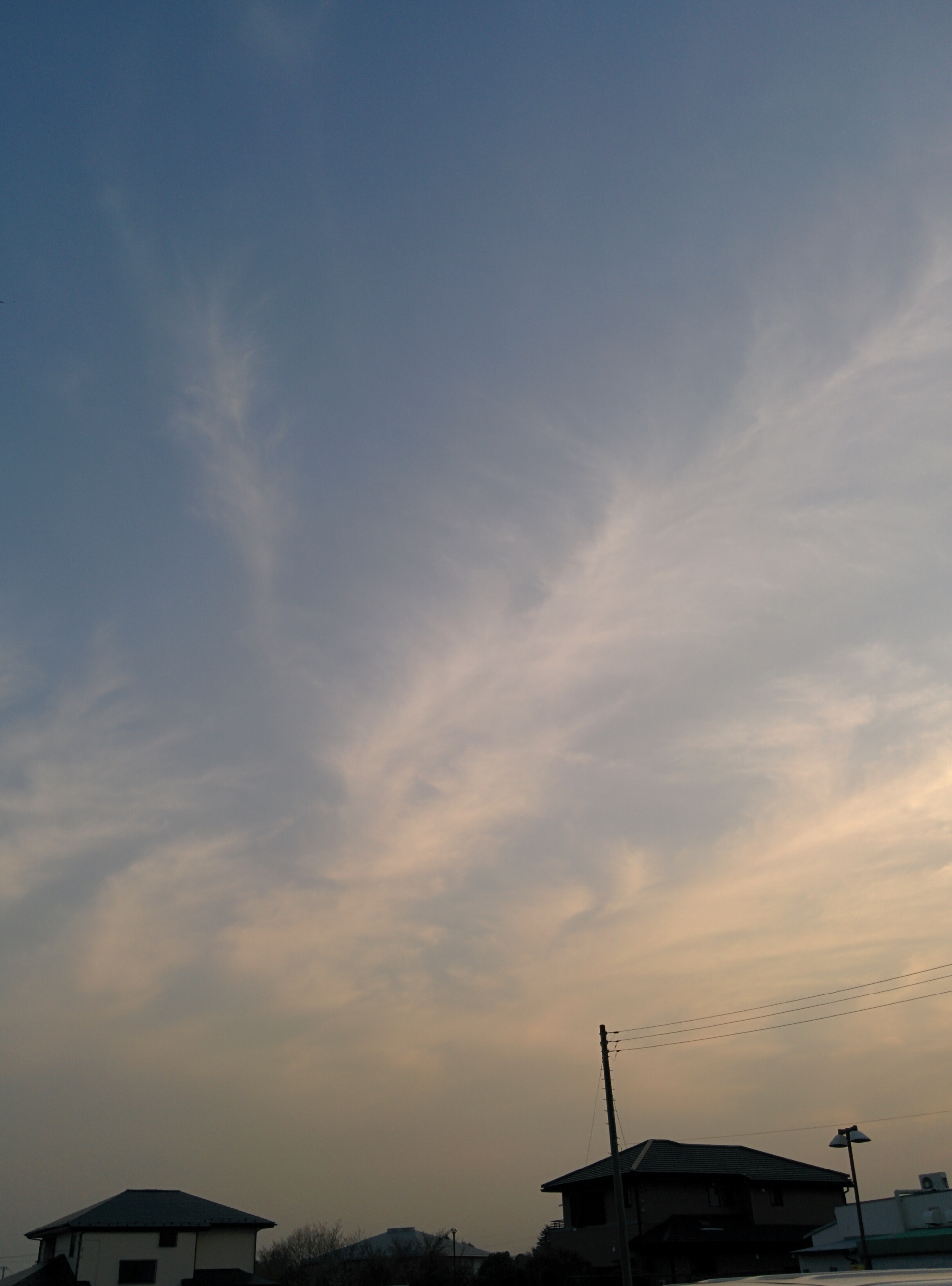 2201903290938430.jpg