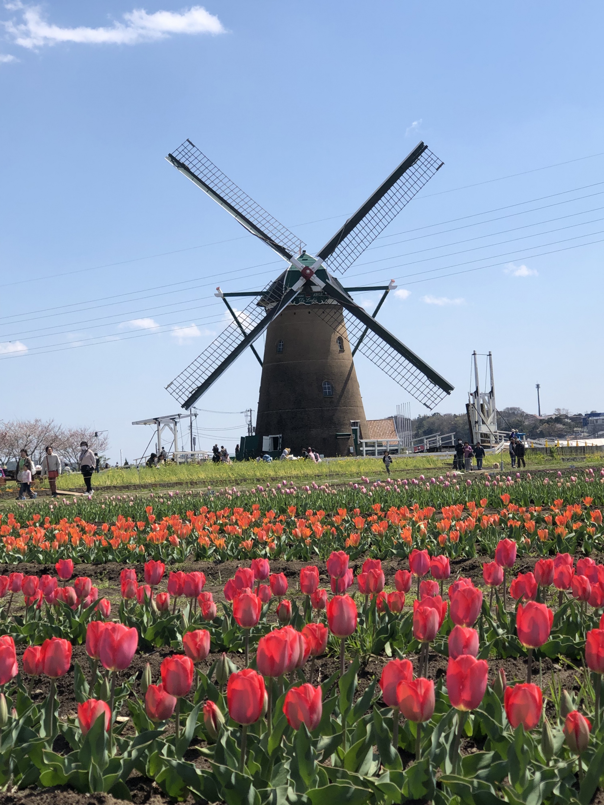 2201904161957420.jpg