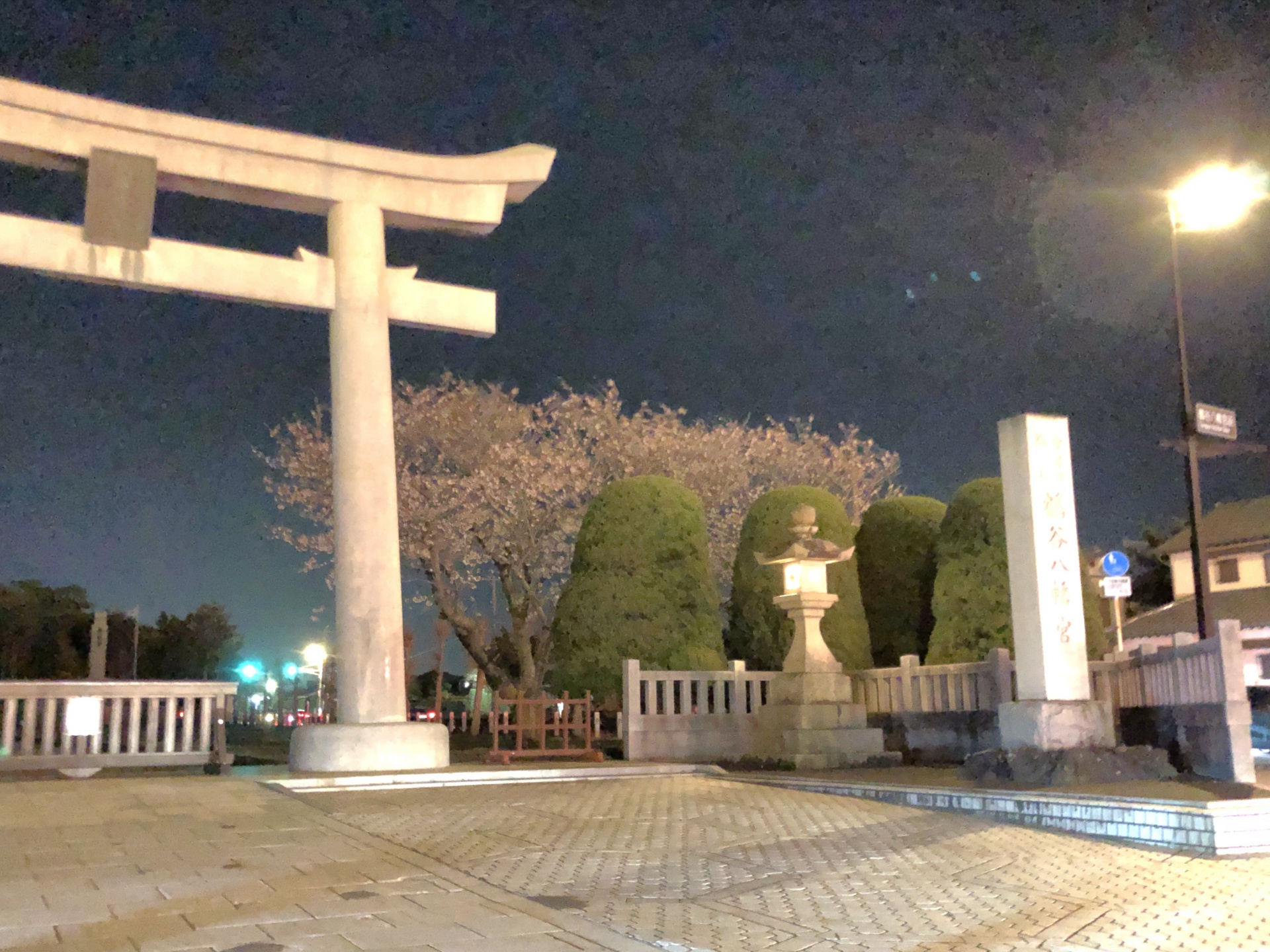 2201904190942290.jpg