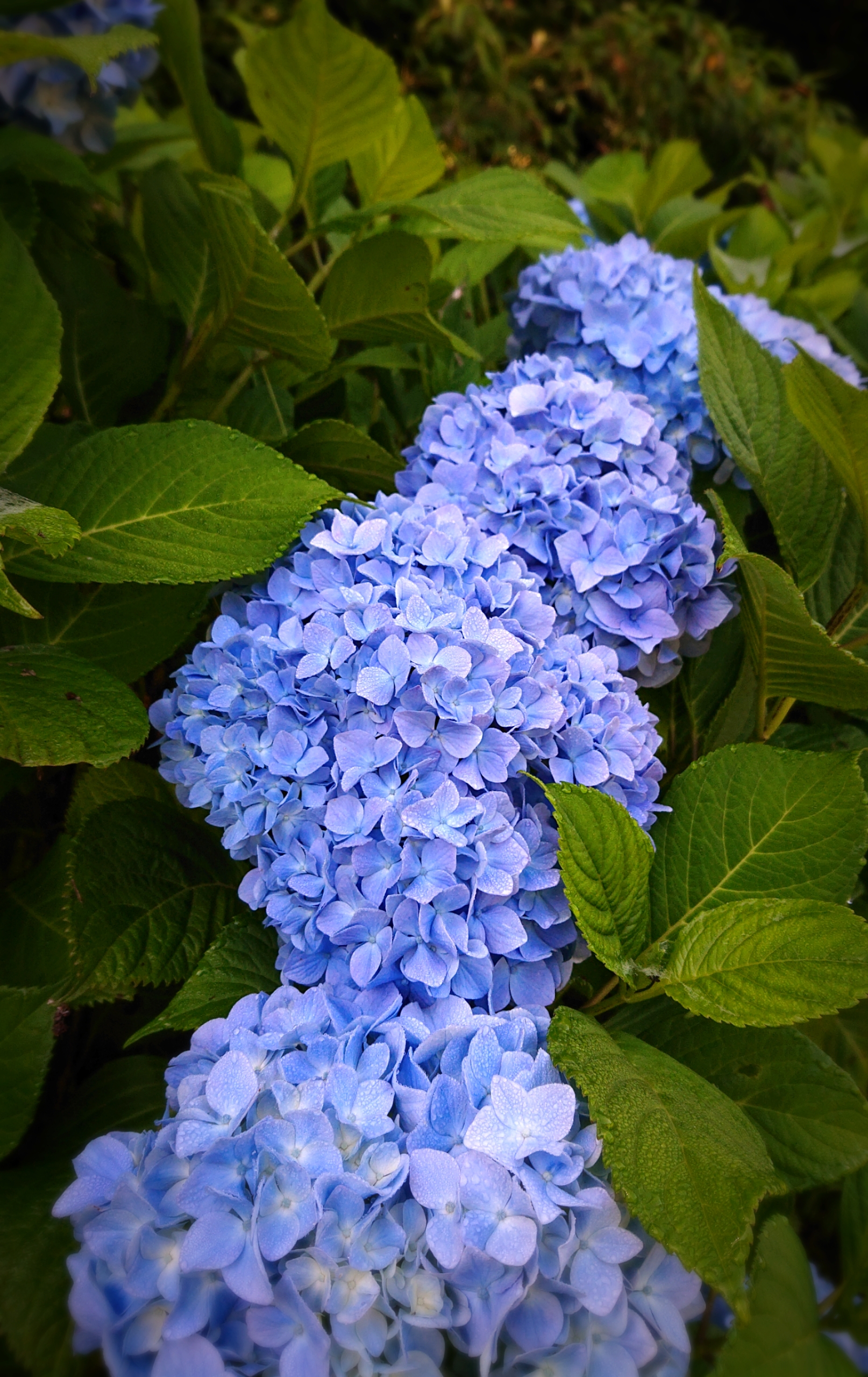 2201906211054230.jpg