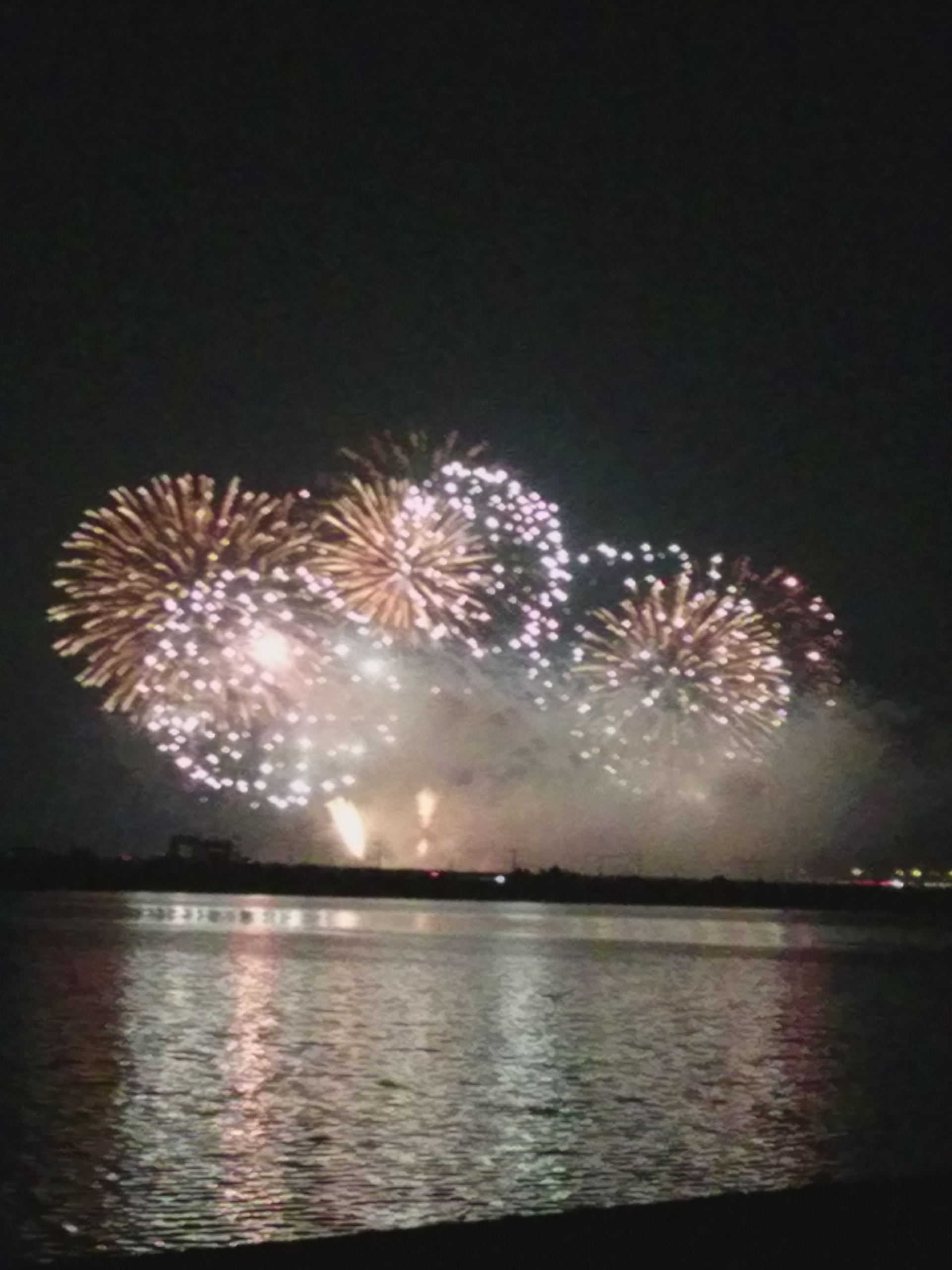 284201908021053590.jpg