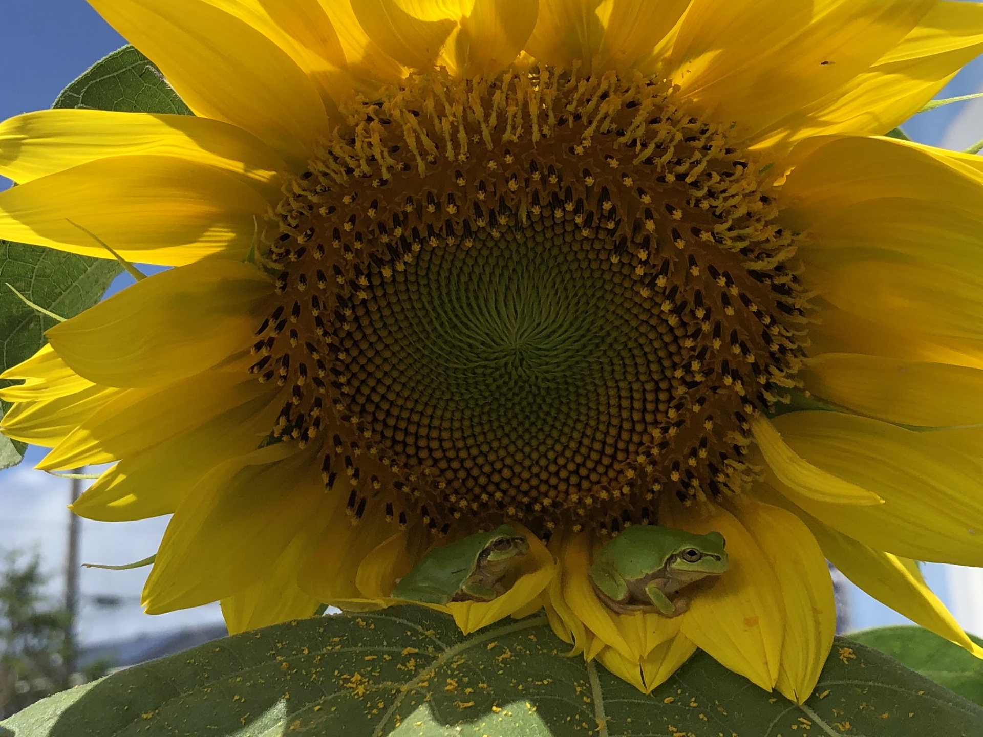284201908161020390.jpg