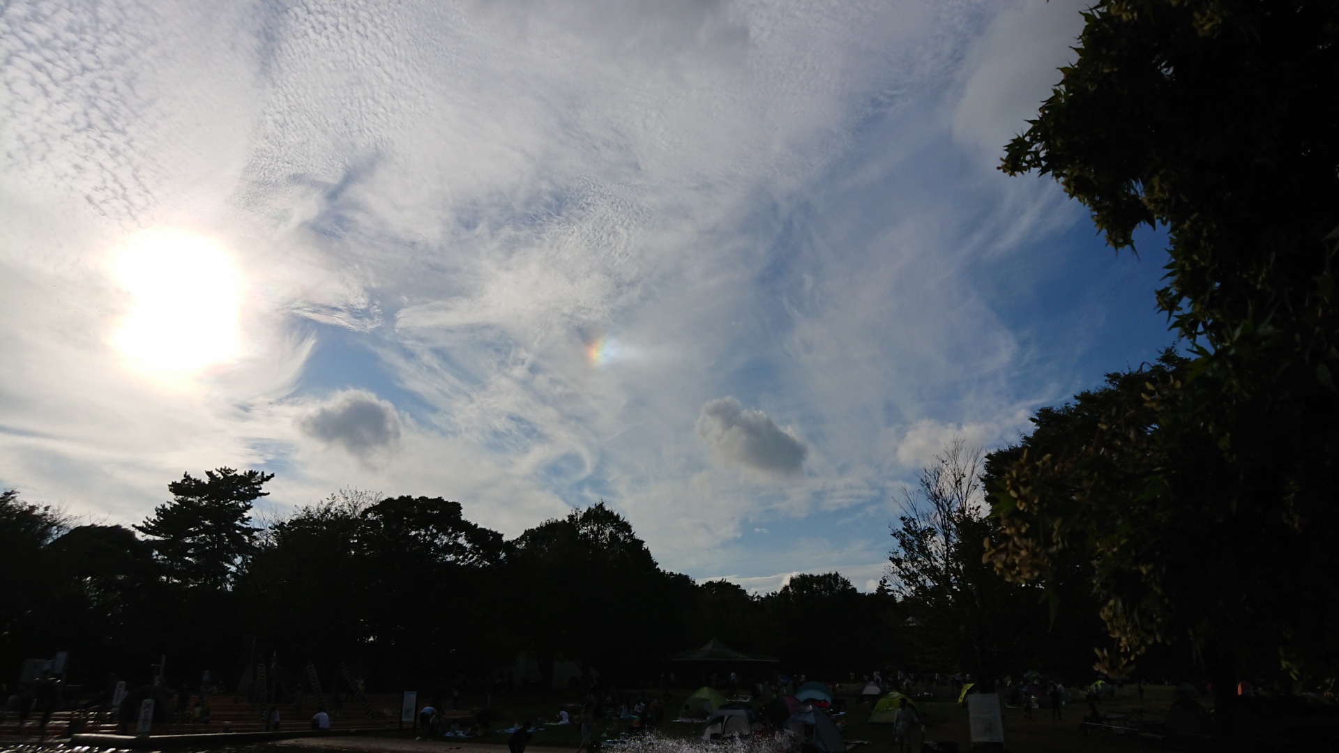 284201910110945350.jpg