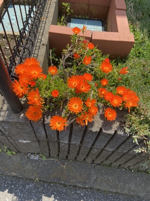 28420200424220055.jpg