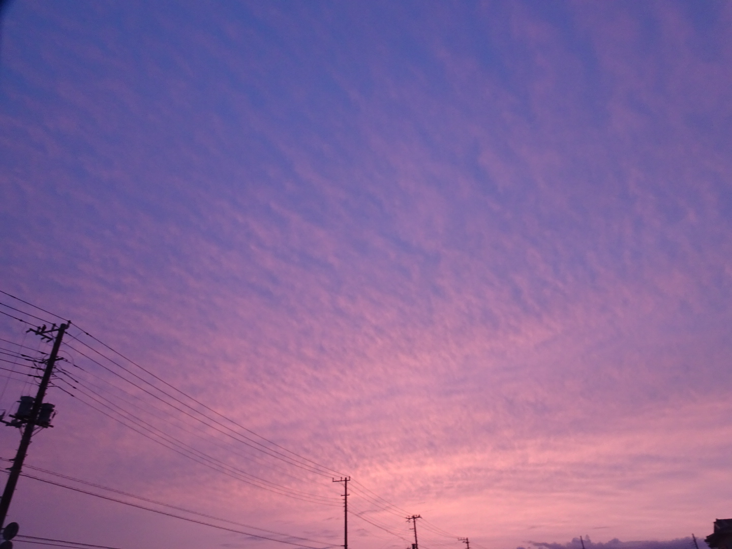 284202006221646180.jpg