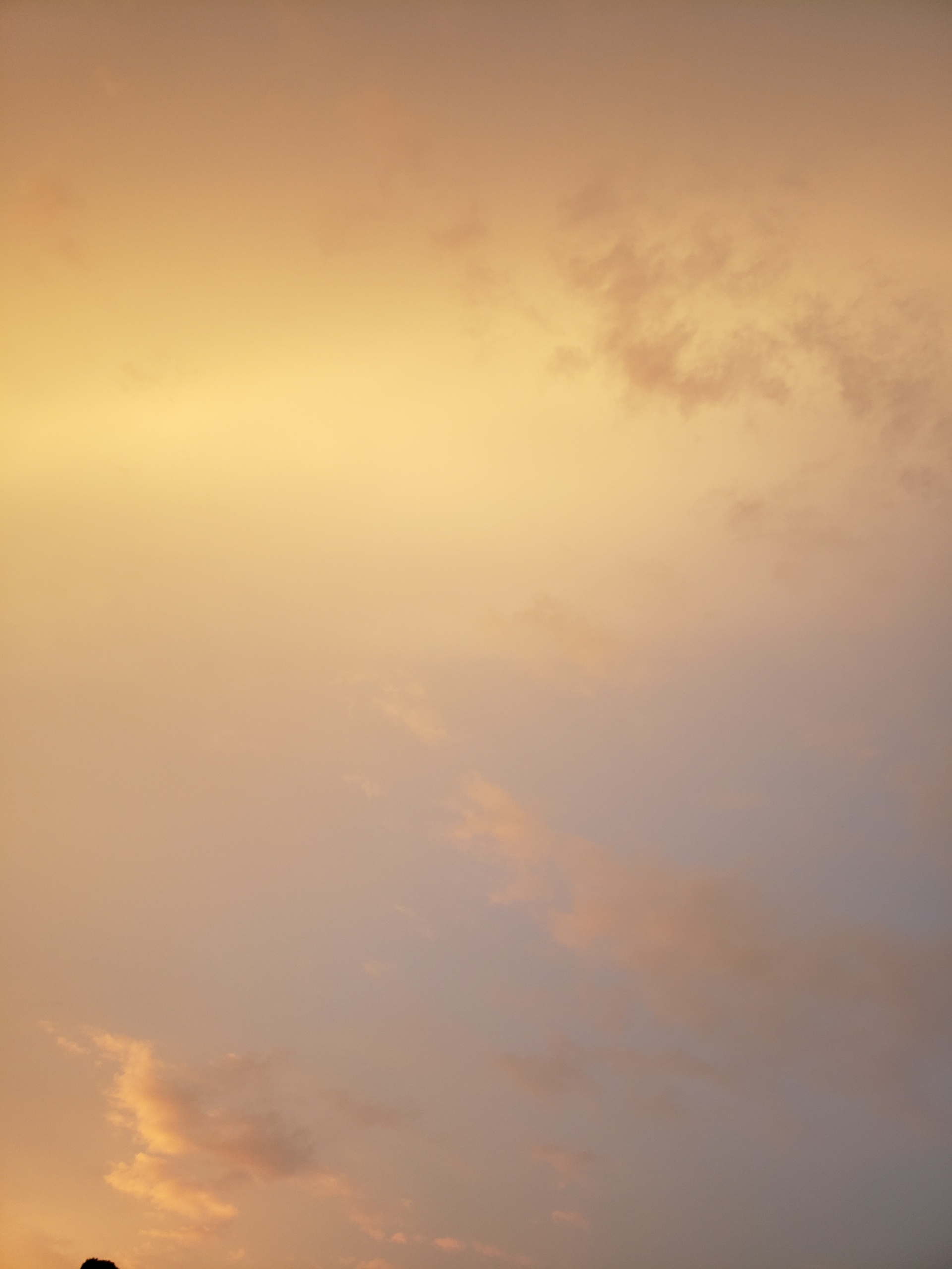 284202008171736480.jpg