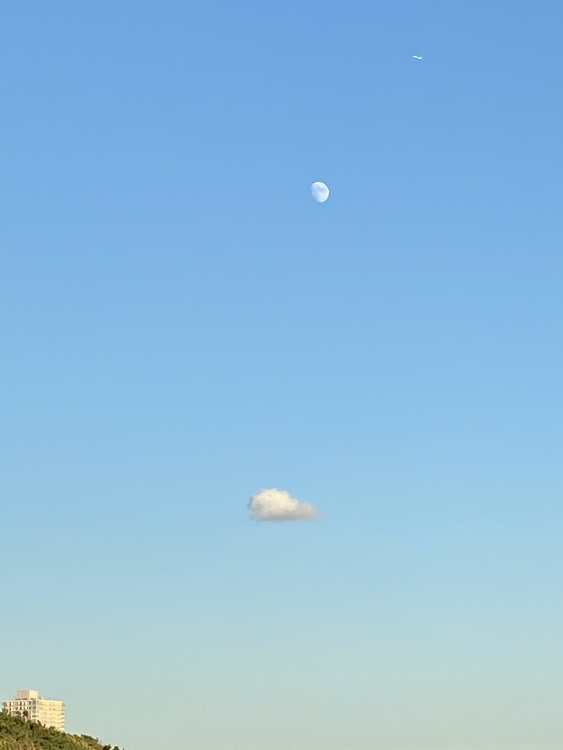 284202009031829570.jpg