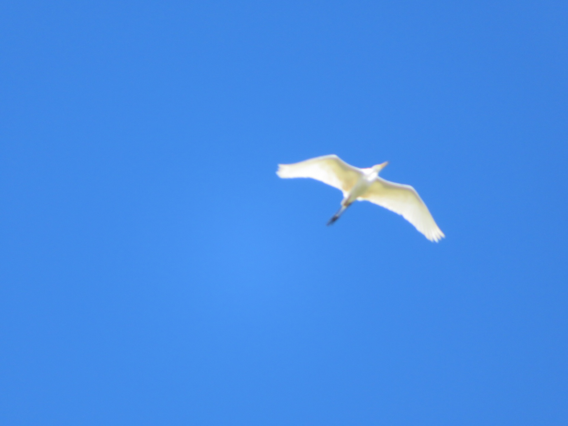 284202009031834450.jpg