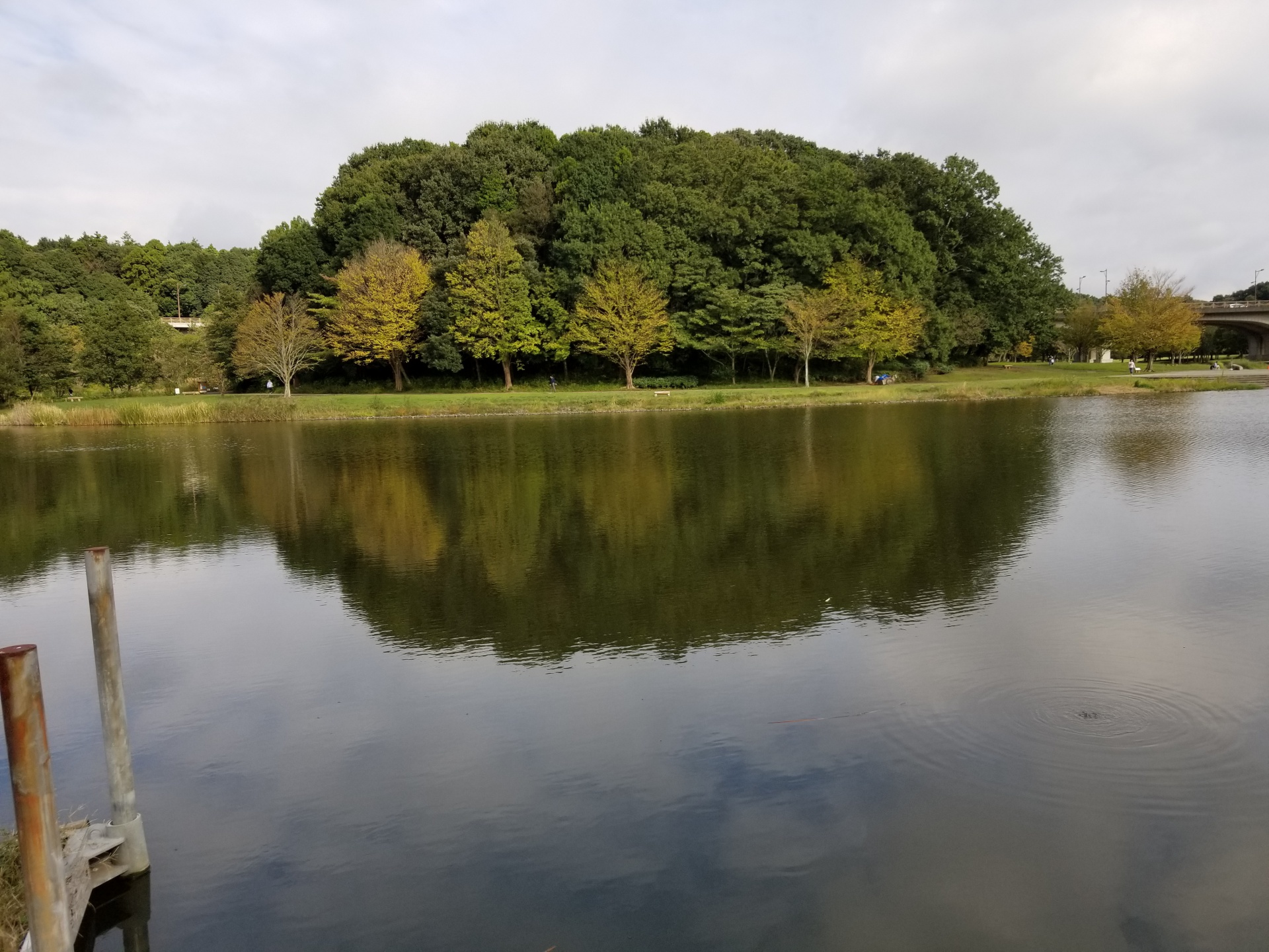 284202010152215190.jpg