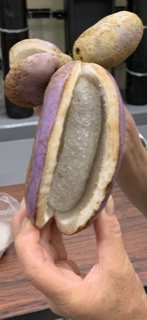 284202010152219390.png