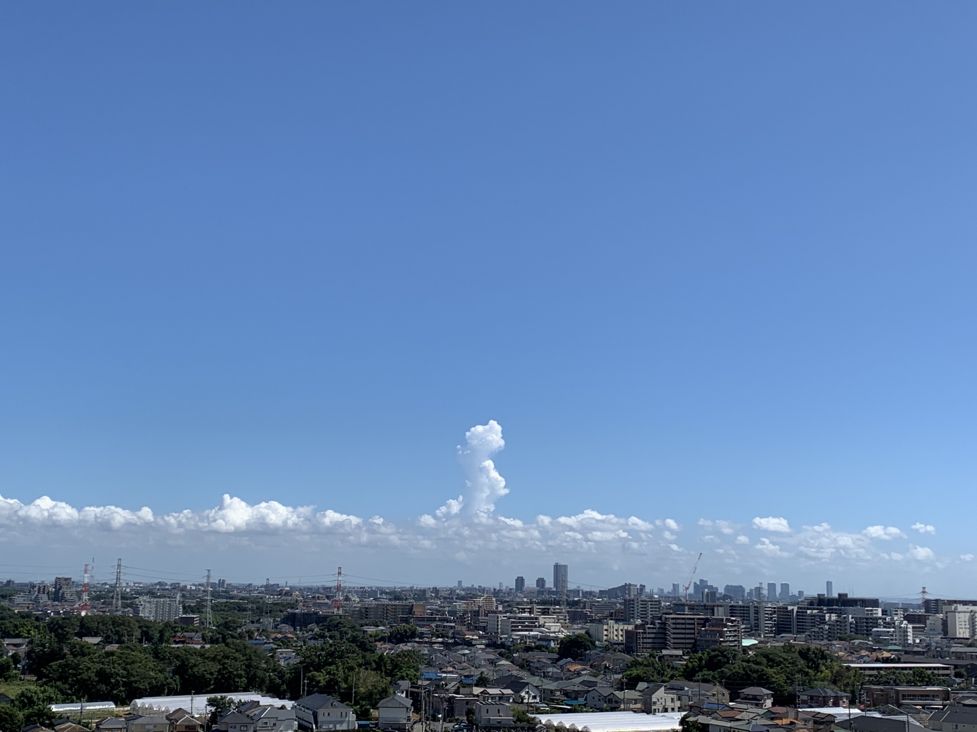 284202010281508490.jpg