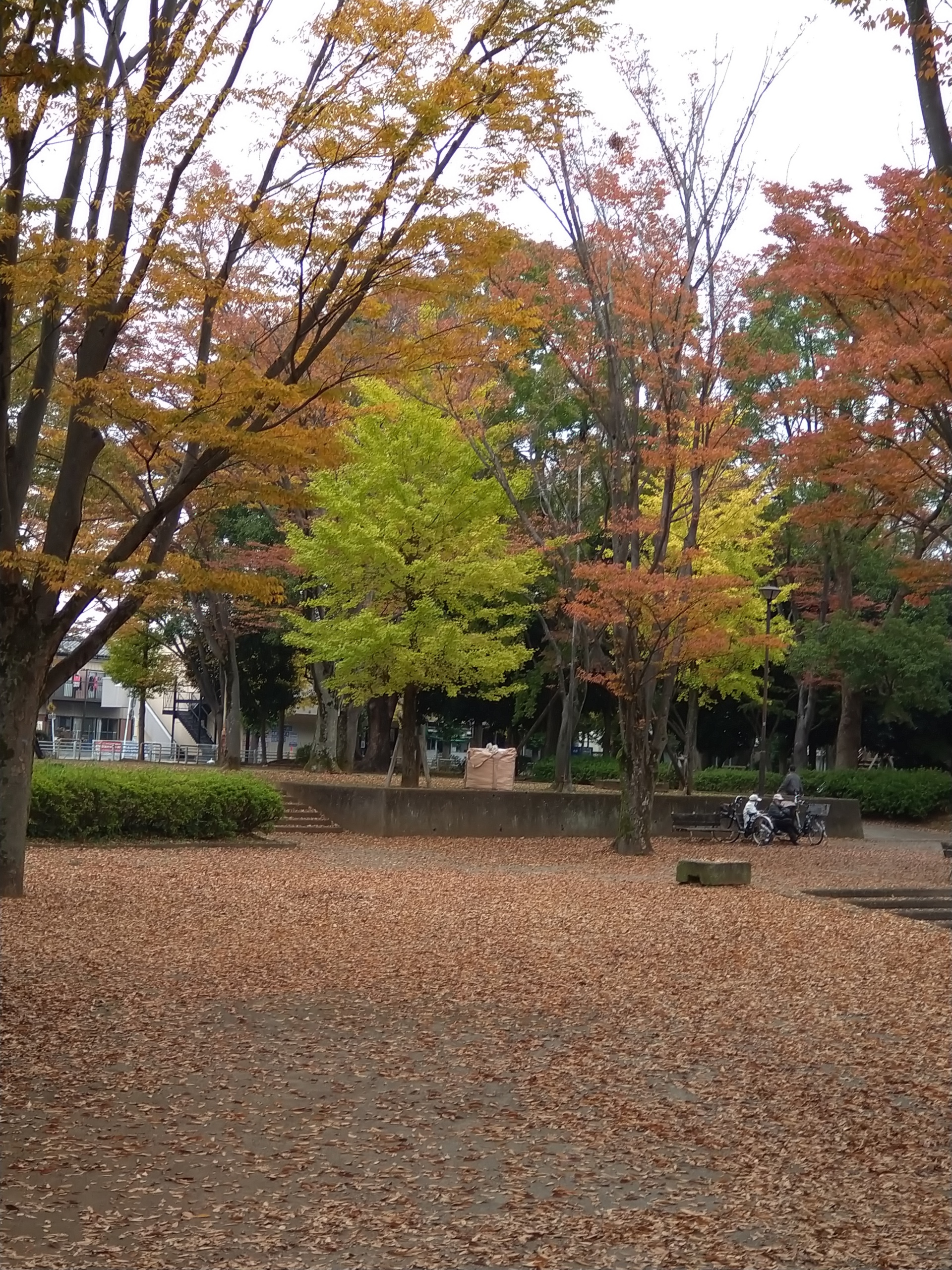 284202011091944350.jpg