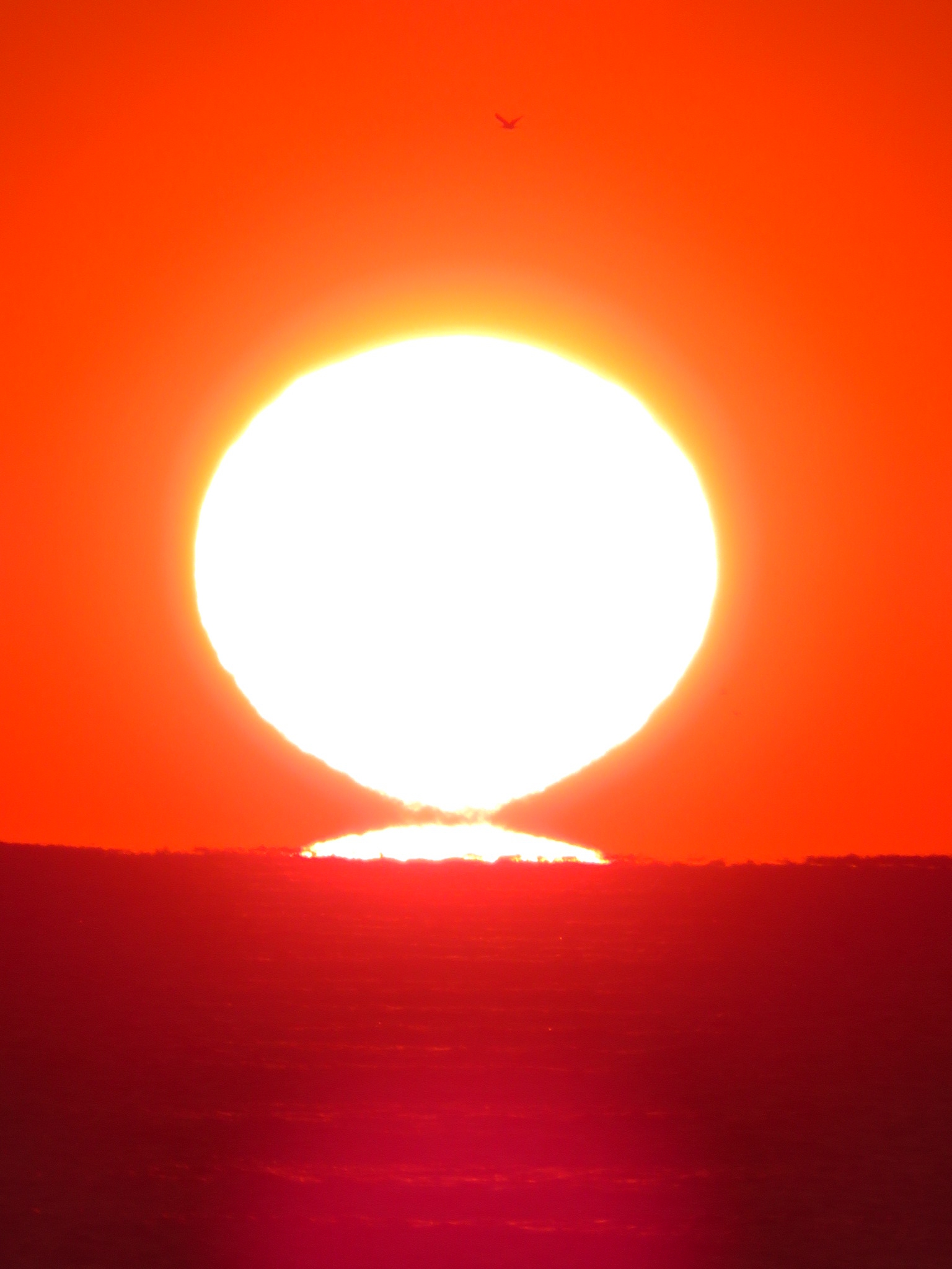 284202012241715150.jpg