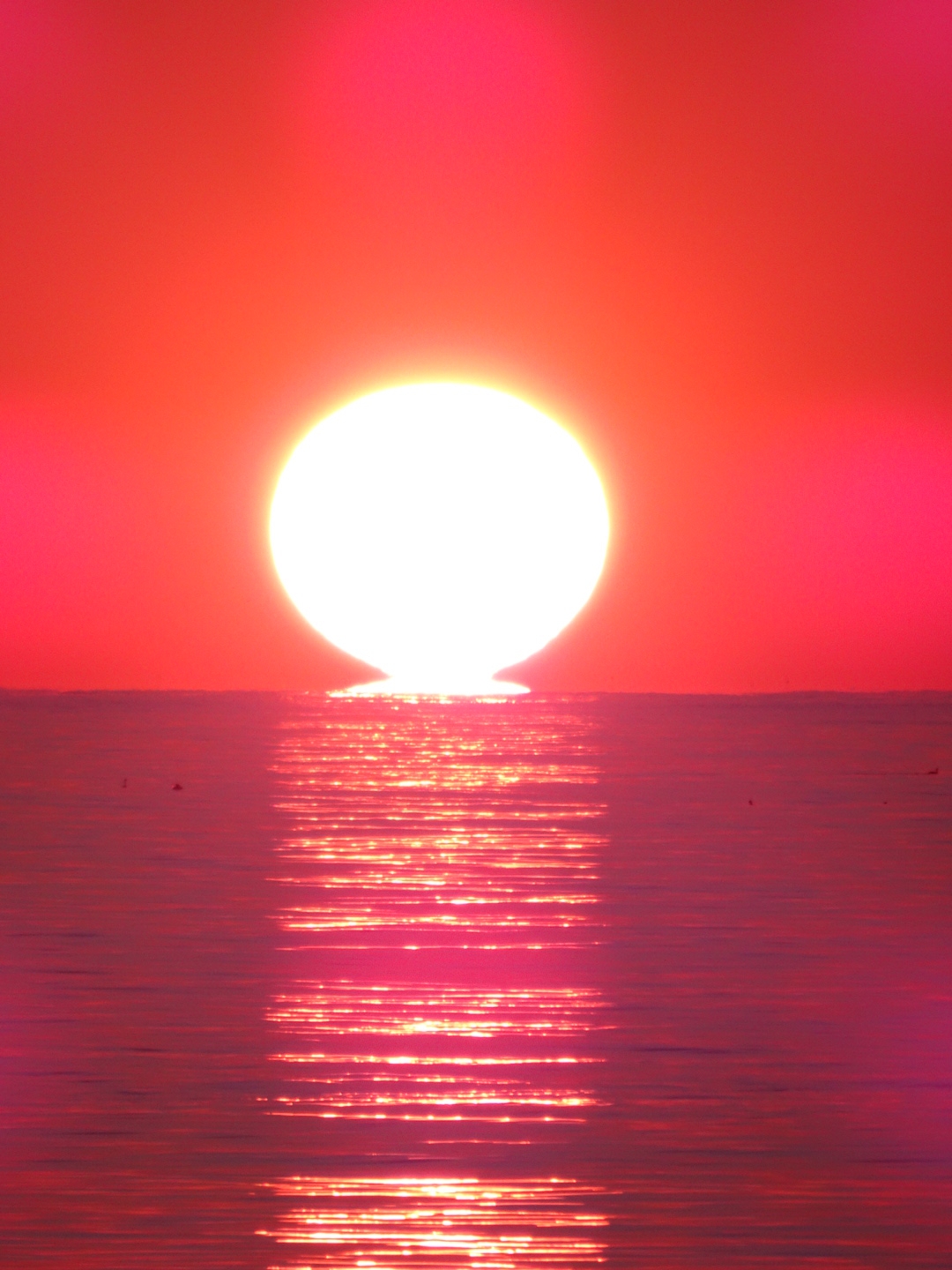 284202012241716310.jpg
