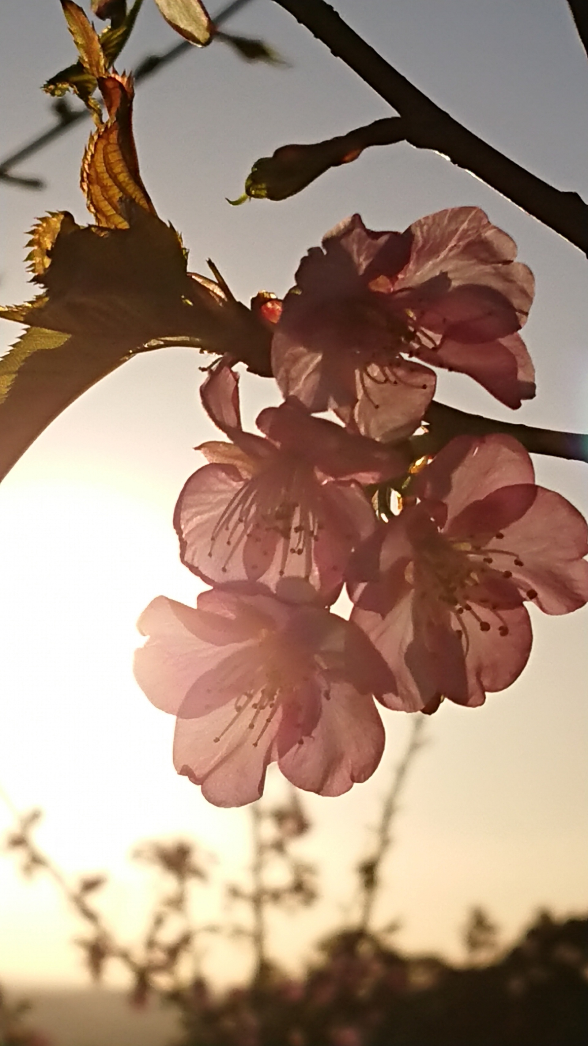 284202102181104520.jpg