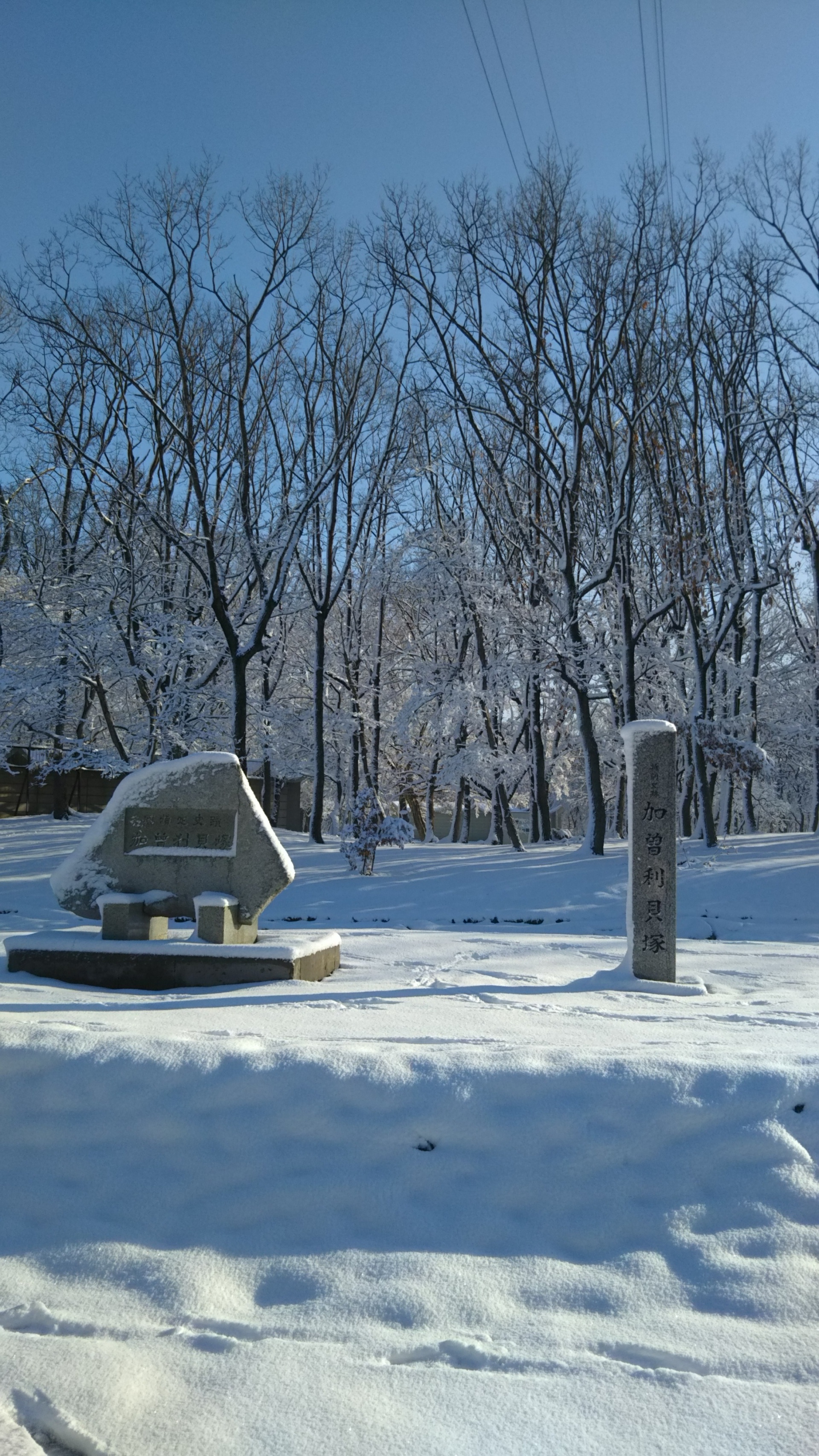 284202102211346430.jpg