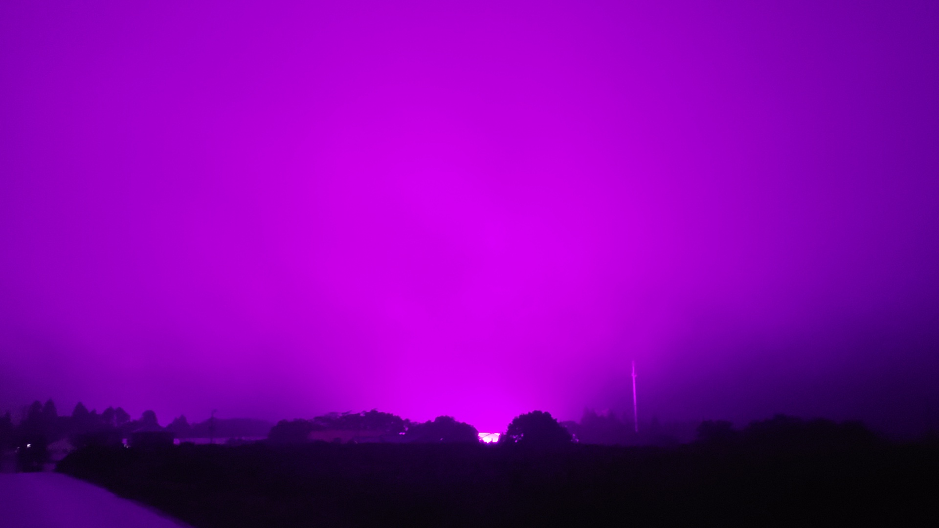 284202105201338400.jpg
