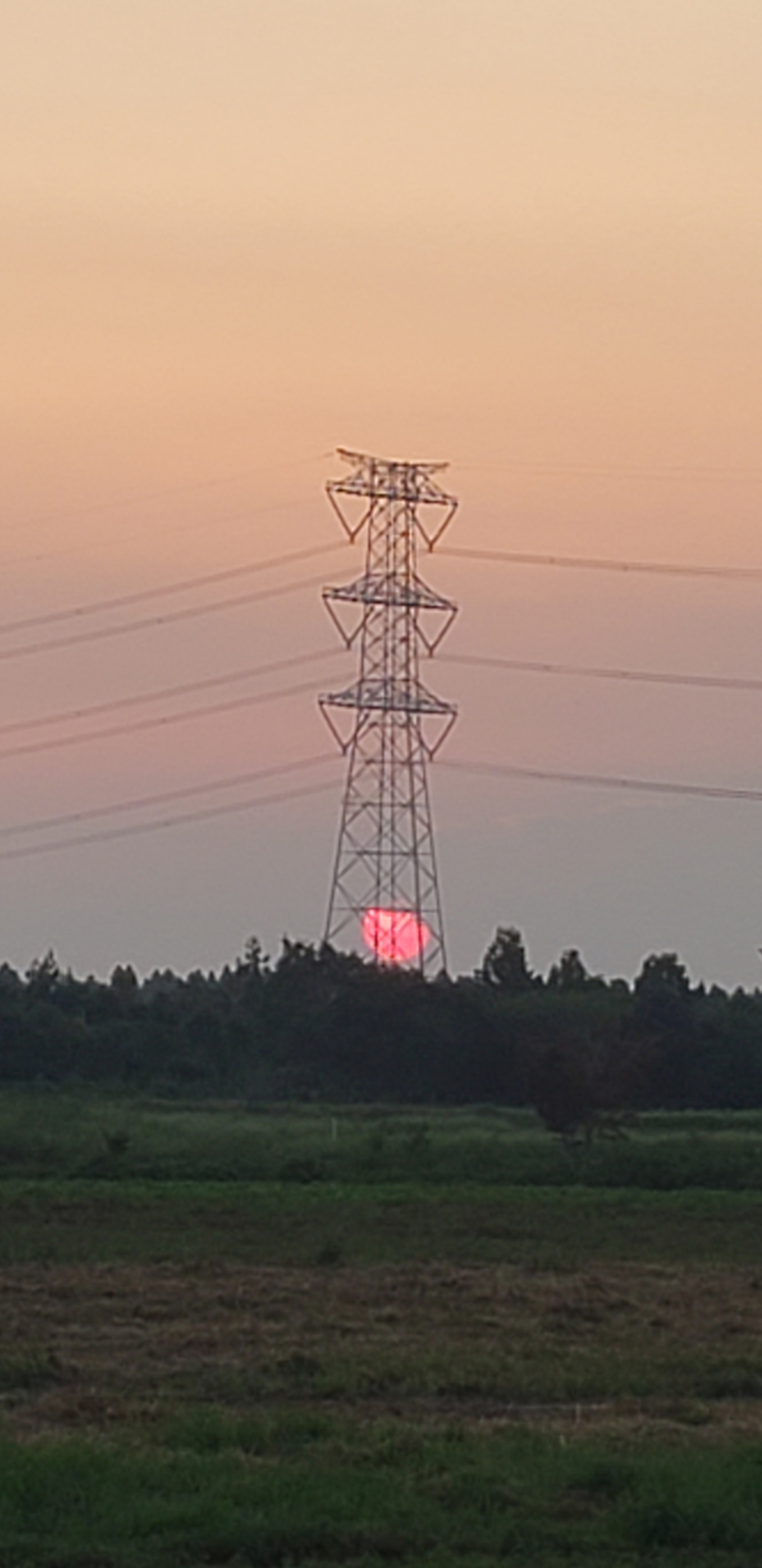 284202109021438390.jpg