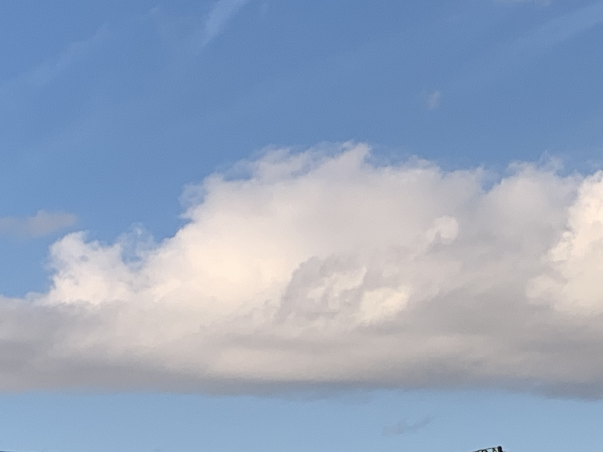 284202202032055590.jpg