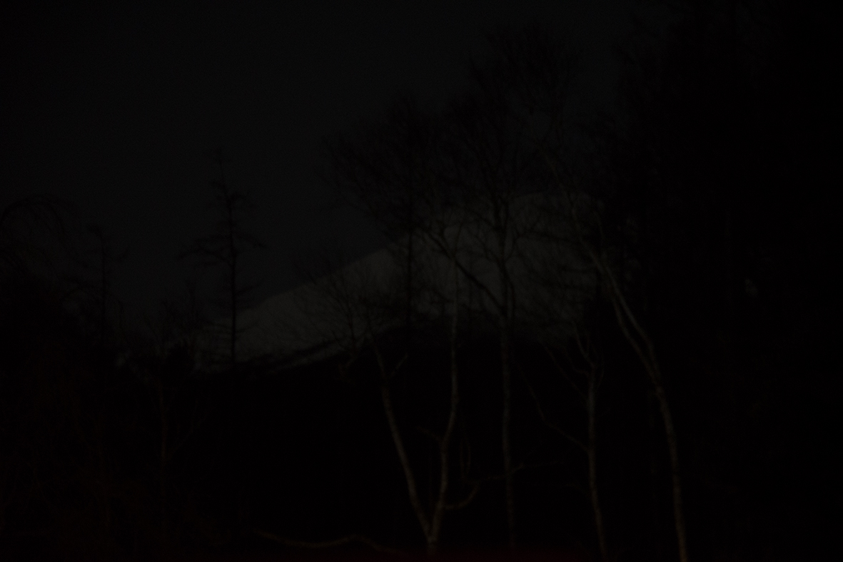 53202003180338040.jpg