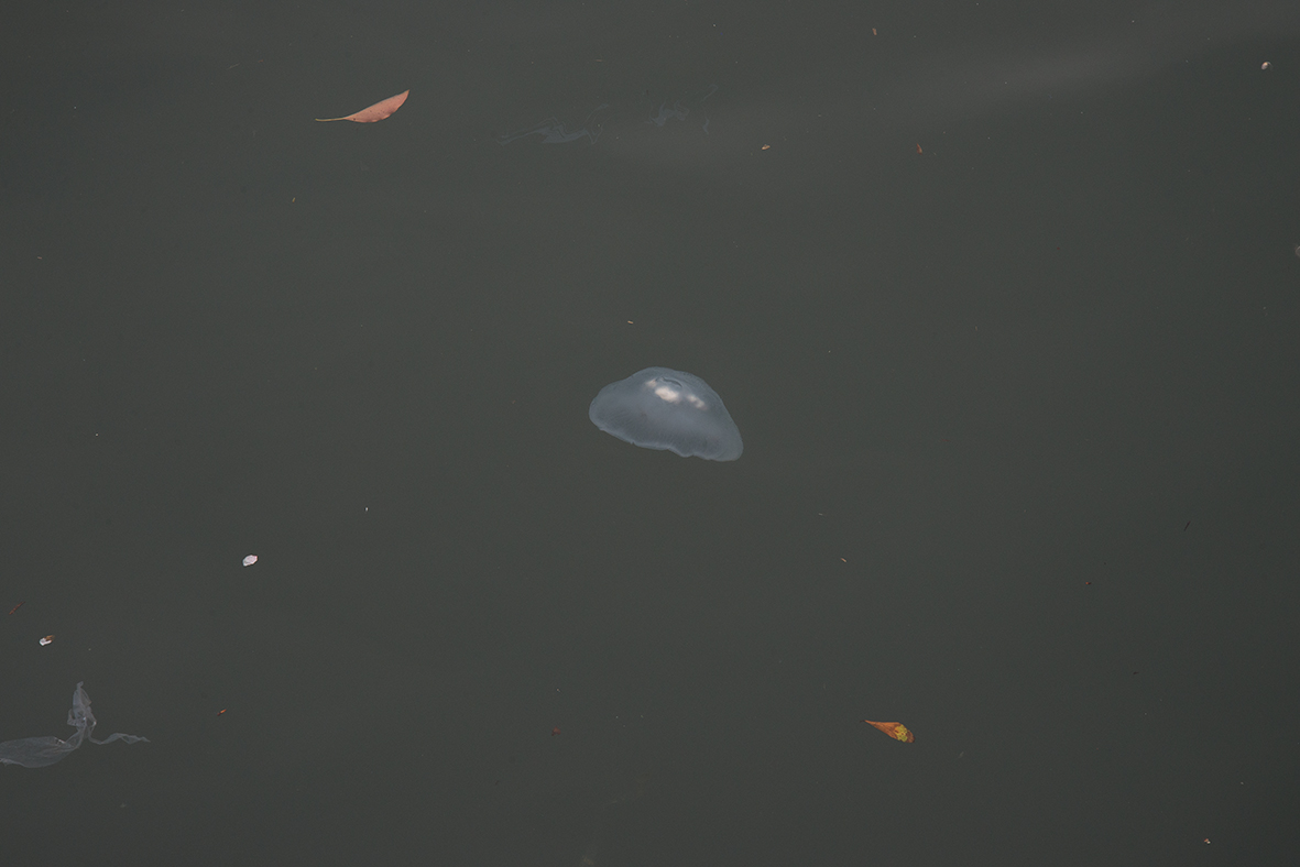 53202003290250530.jpg