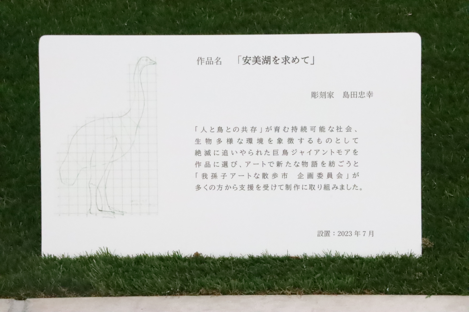 677202307201307590.jpg