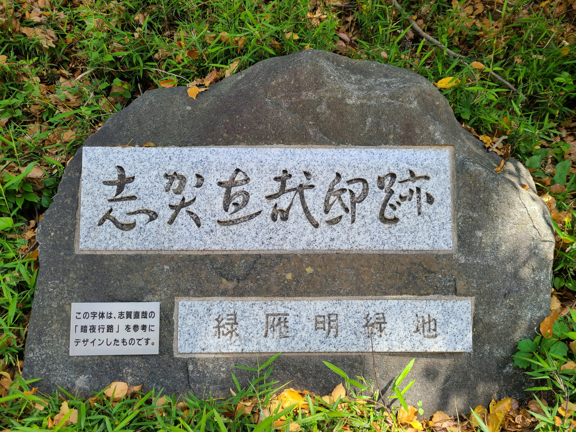 677202506181049000.jpg