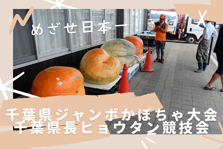 711202508291556250.jpg