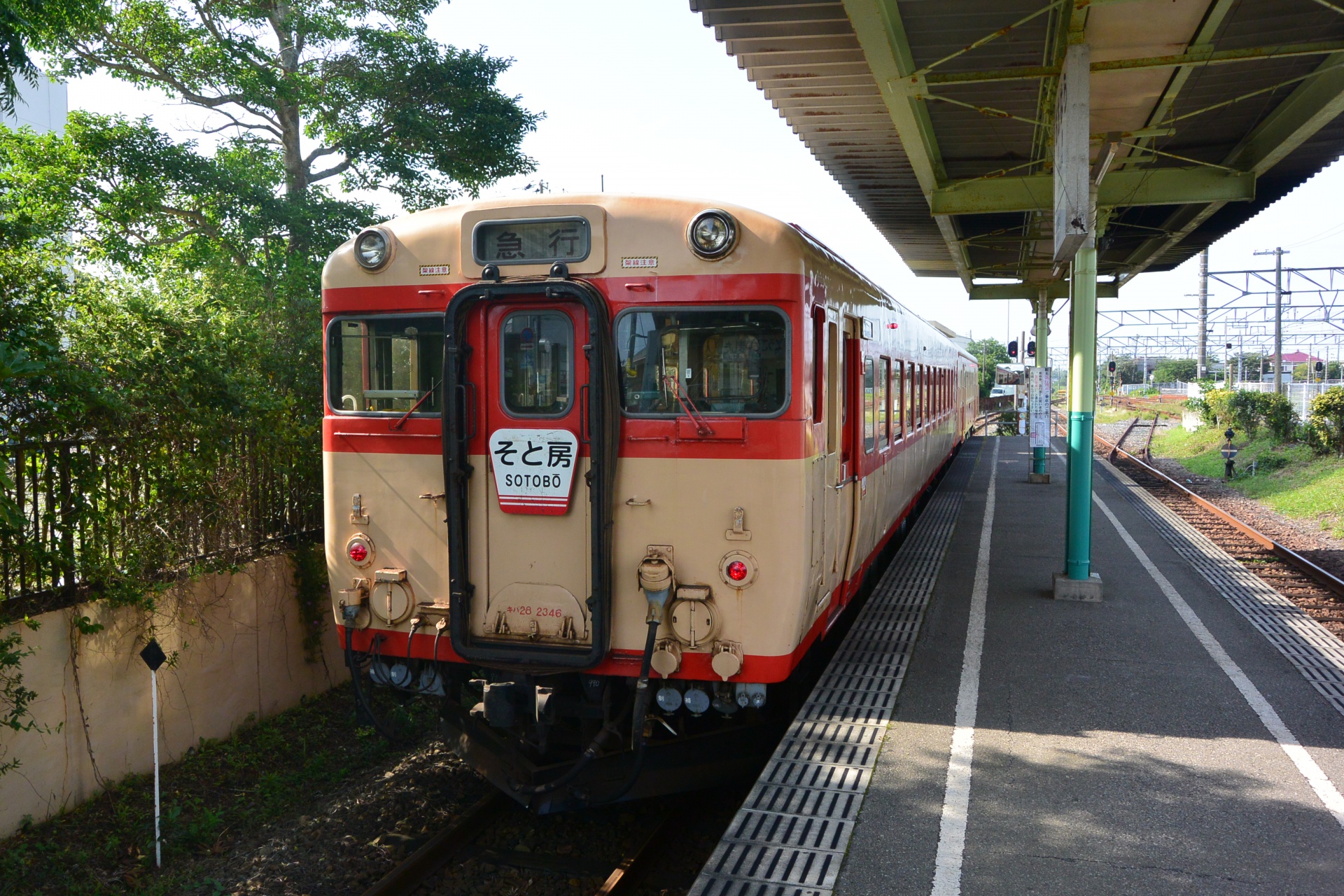 747202007171348030.jpg