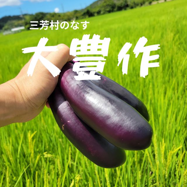 879202507271618040.png