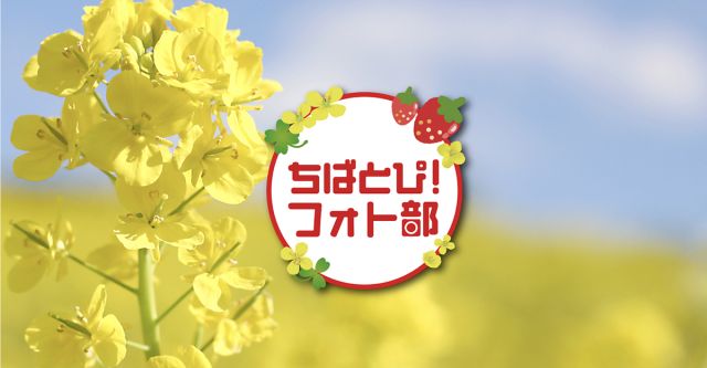 ちばとぴ！フォト部